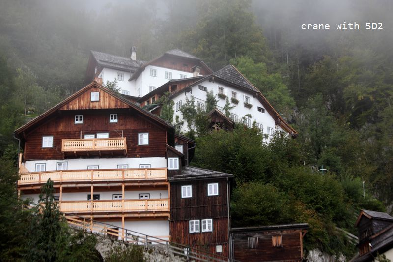 IMG_5733.JPG IMG_5733.JPG