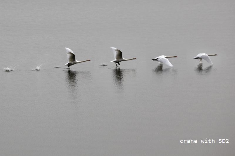 IMG_5761.jpg IMG_5761.jpg