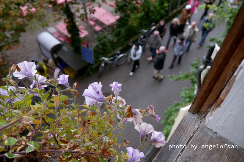 P1170406.JPG P1170406.JPG