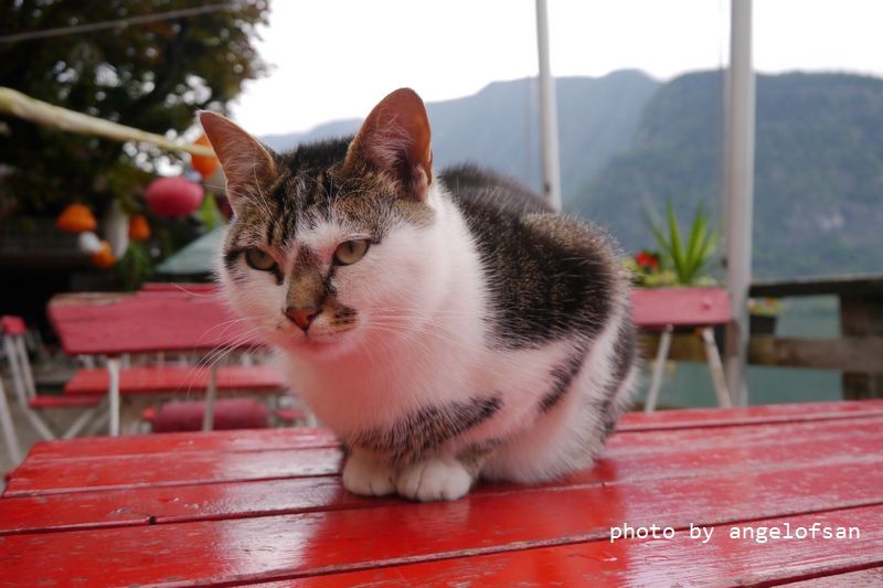 P1170437.JPG P1170437.JPG