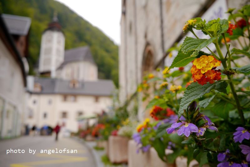 P1170499.JPG P1170499.JPG