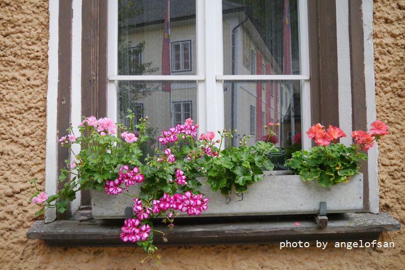 P1170615.JPG P1170615.JPG