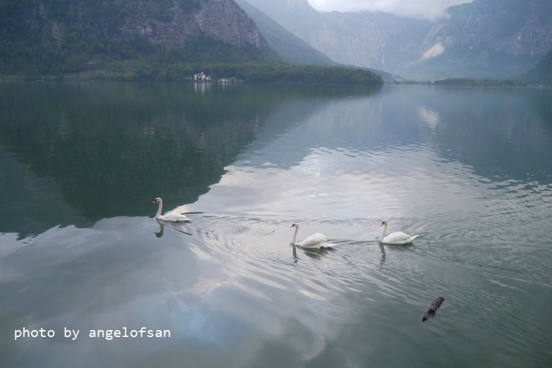 P1170644.JPG P1170644.JPG