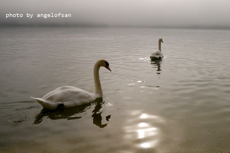 P1170682.JPG P1170682.JPG