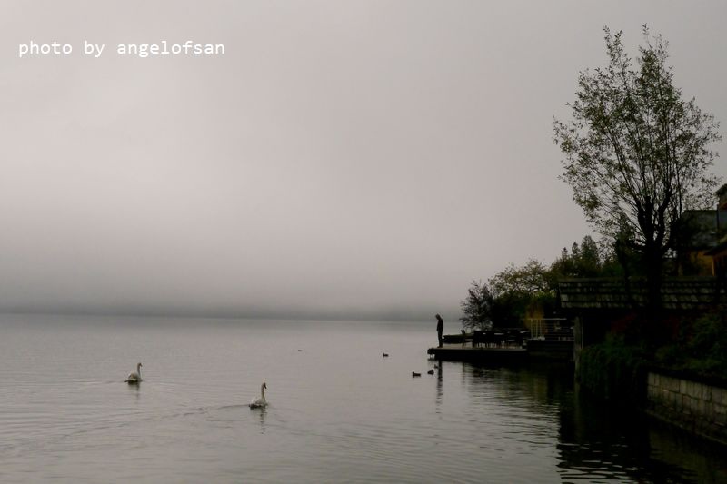 P1170685.JPG P1170685.JPG