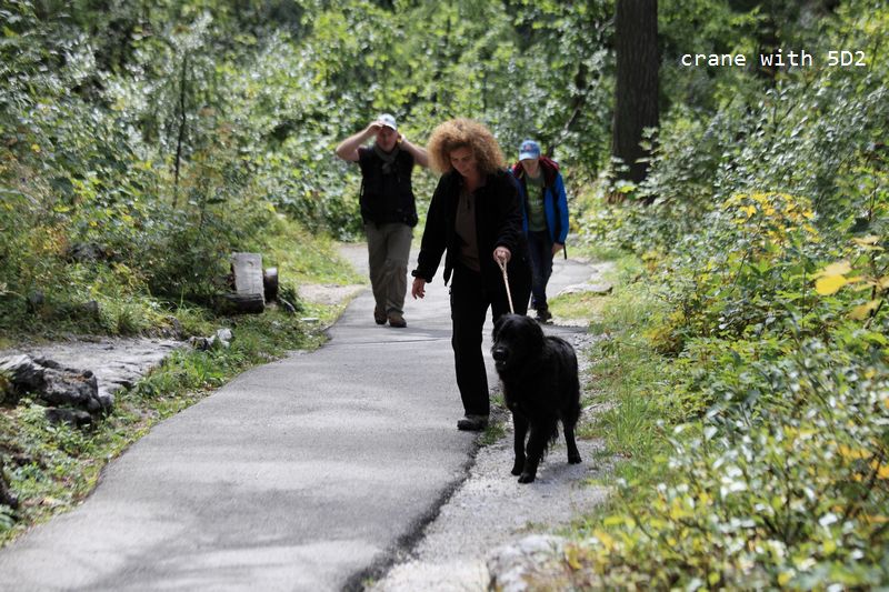 IMG_5919.JPG IMG_5919.JPG