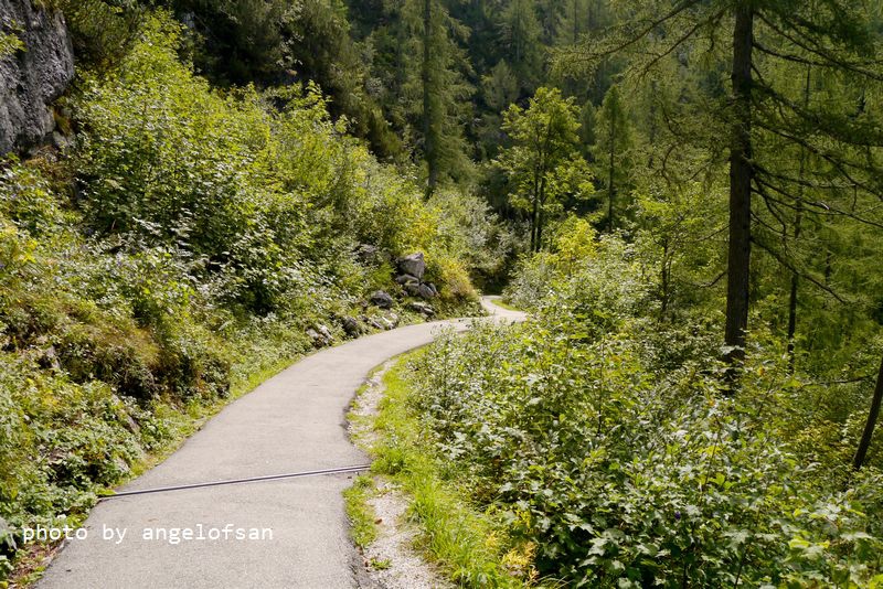 P1170857.JPG P1170857.JPG