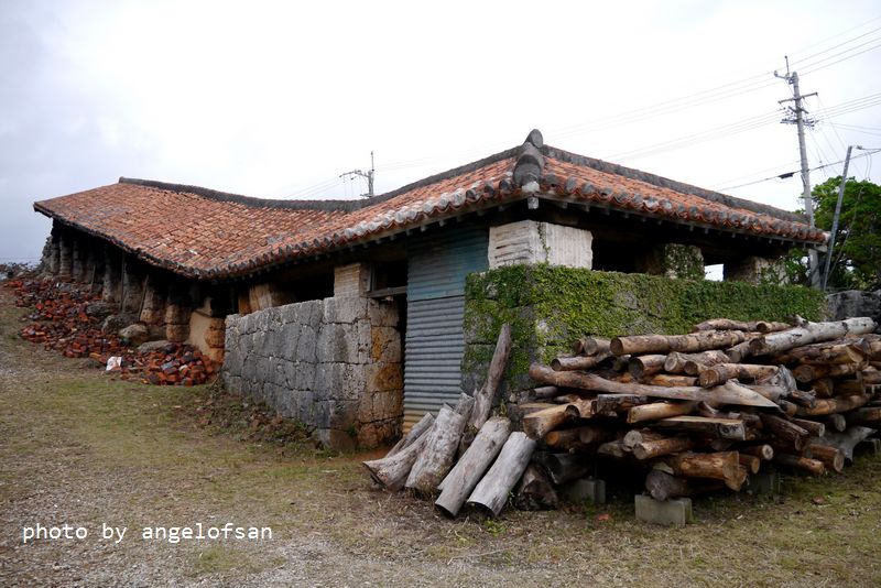 P1320239.JPG P1320239.JPG