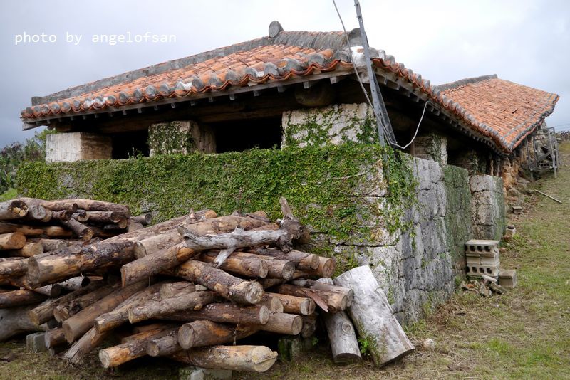 P1320242.JPG P1320242.JPG