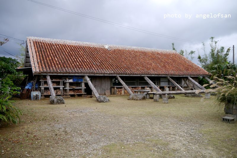 P1320254.JPG P1320254.JPG