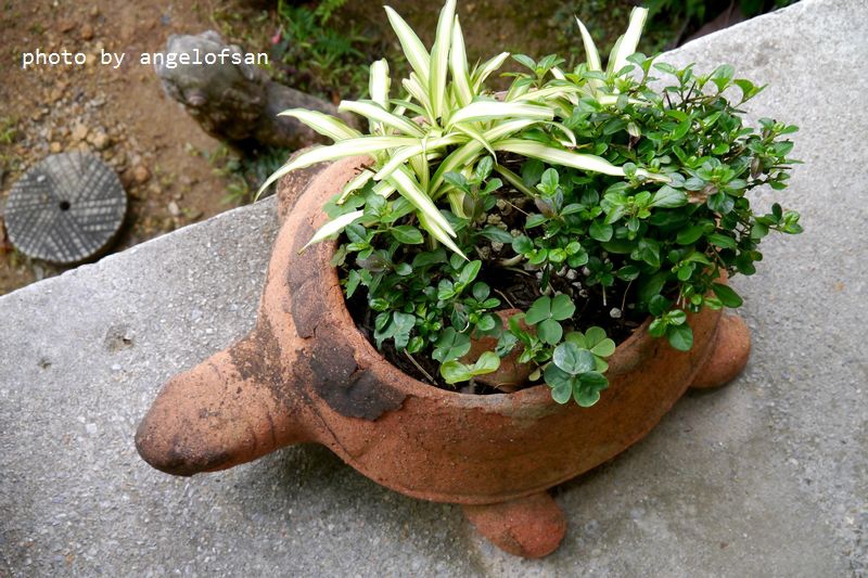 P1320263.JPG P1320263.JPG