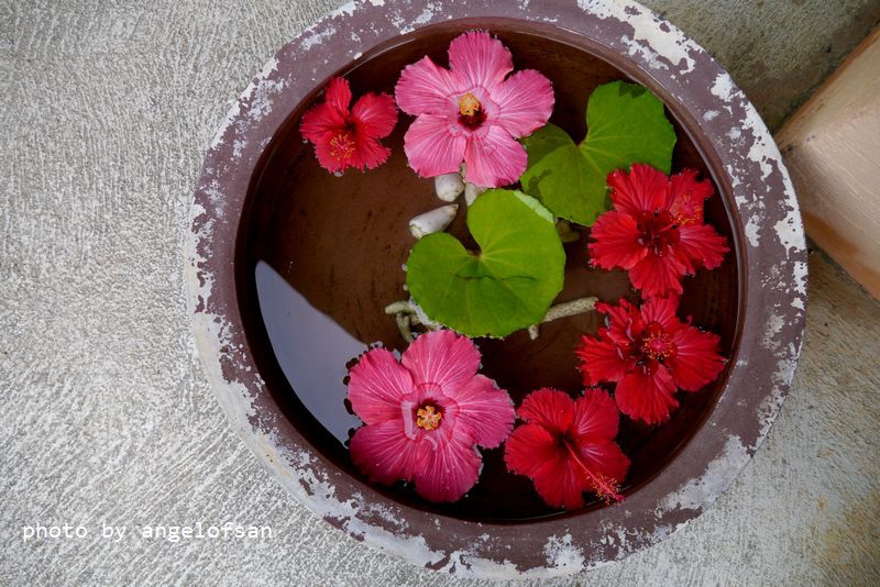 P1320275.JPG P1320275.JPG