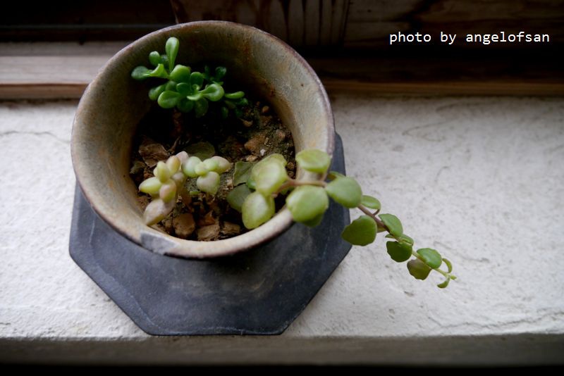 P1320282.JPG P1320282.JPG