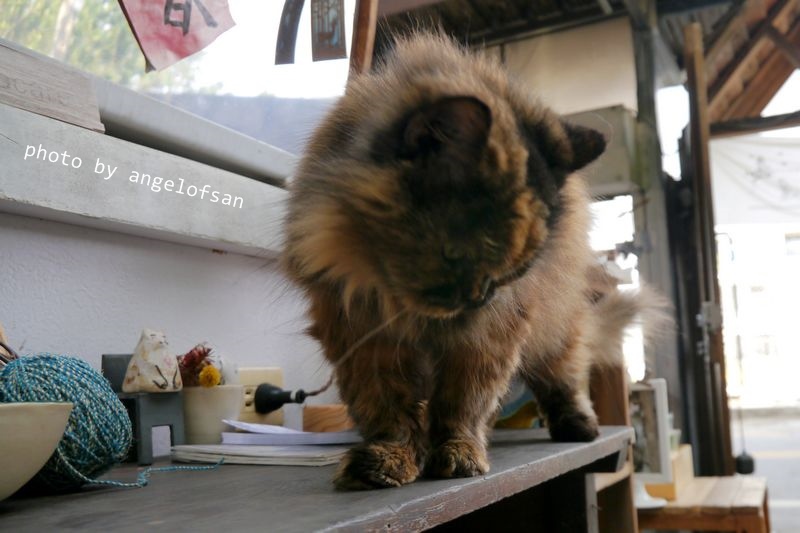 P1320864.JPG P1320864.JPG