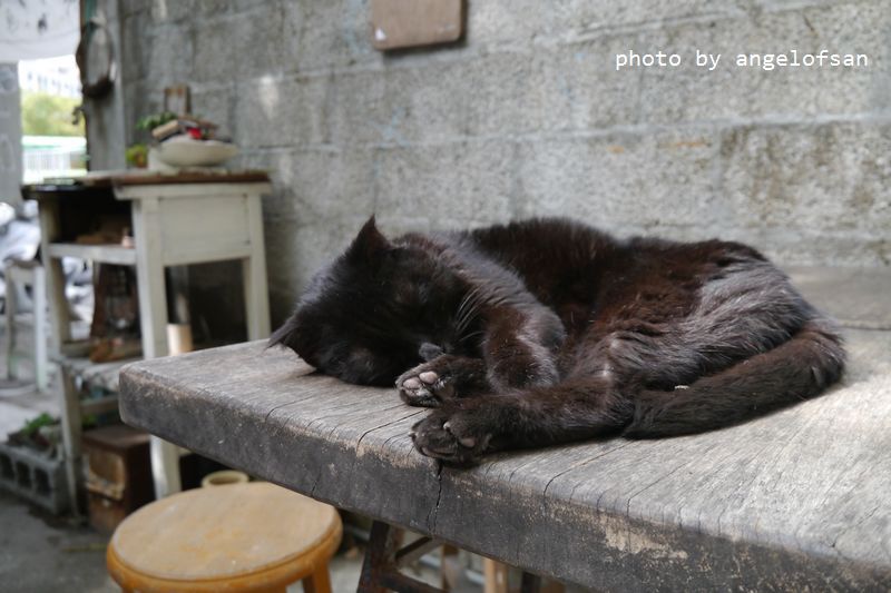 P1320876.JPG P1320876.JPG