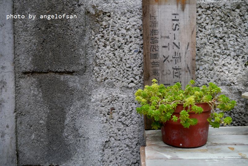 P1320880.JPG P1320880.JPG