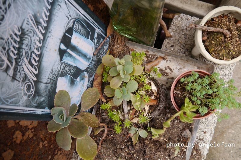 P1320881.JPG P1320881.JPG