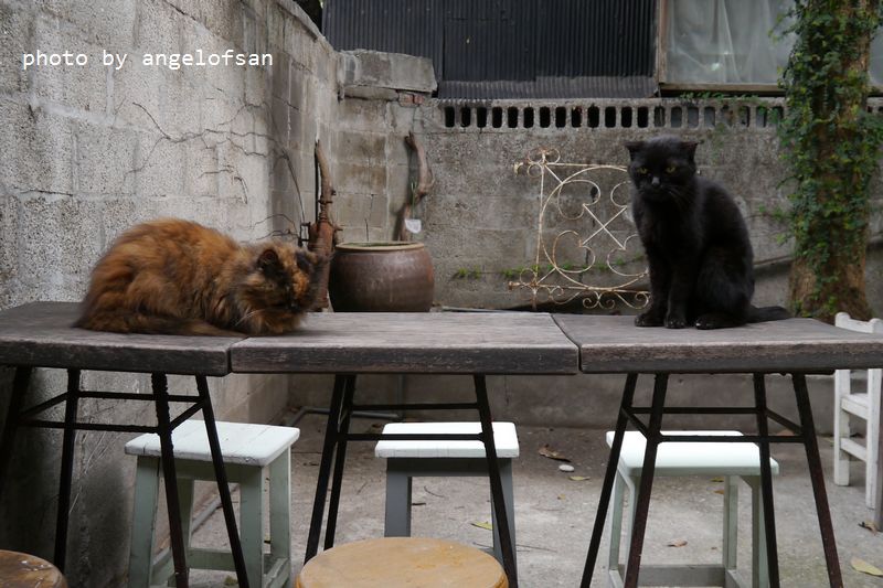 P1320930.JPG P1320930.JPG