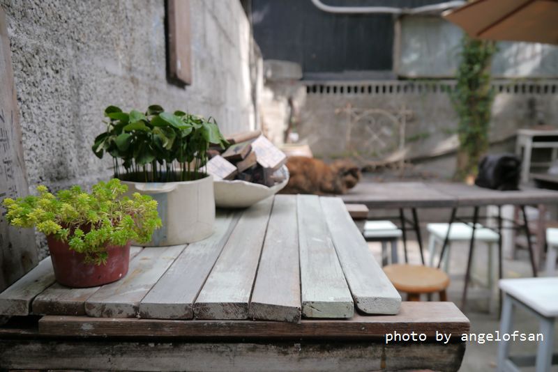 P1320937.JPG P1320937.JPG