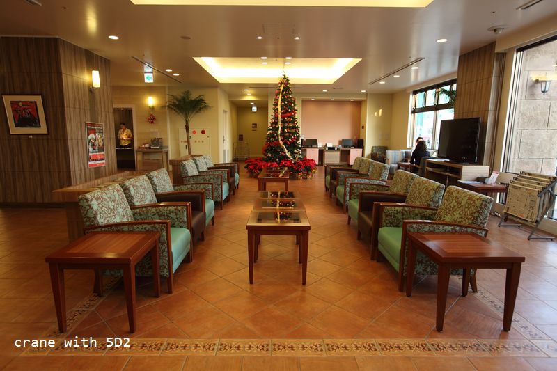 IMG_3377.JPG IMG_3377.JPG