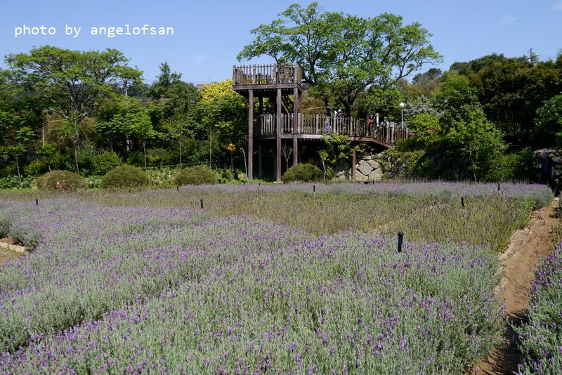 P1330764.JPG P1330764.JPG