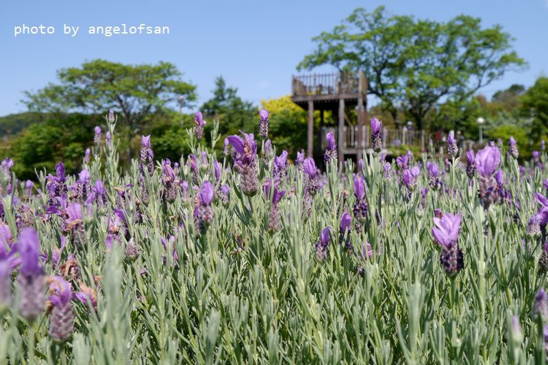 P1330765.JPG P1330765.JPG