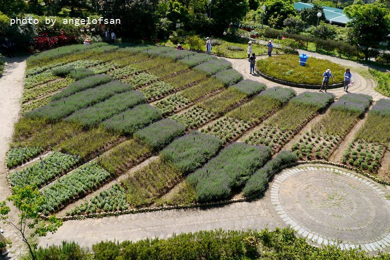 P1330792.JPG P1330792.JPG