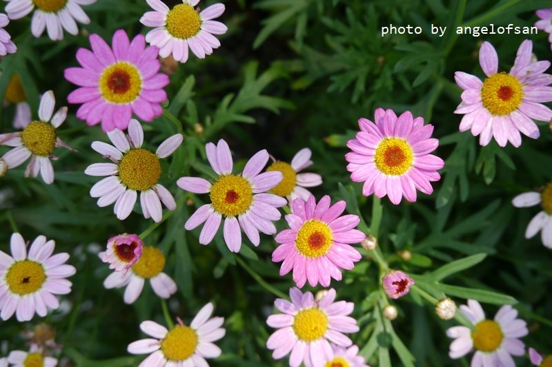 P1330821.JPG P1330821.JPG