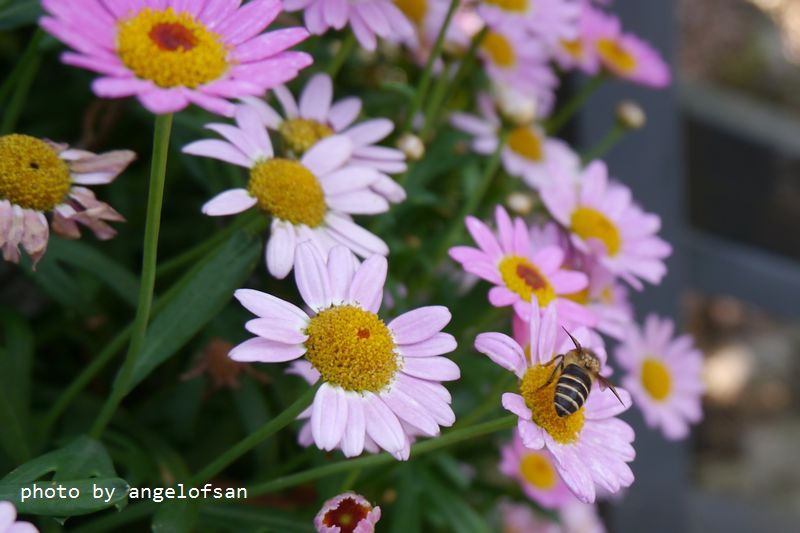 P1330823.JPG P1330823.JPG