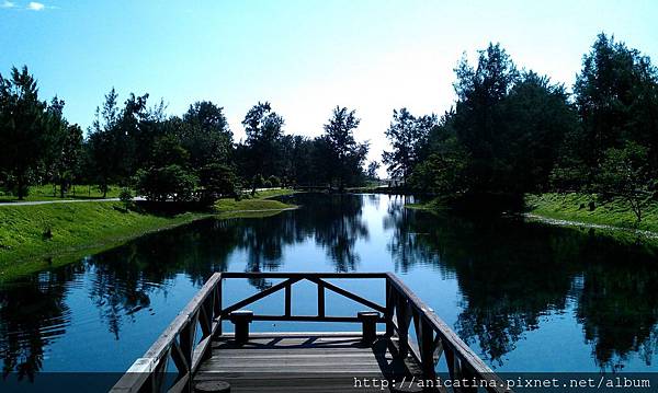 01台東森林公園 01台東森林公園