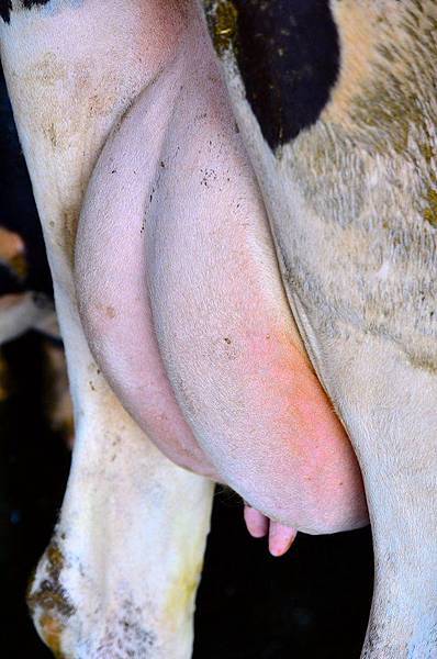 10644508_695197490547594_6023542894271354850_o