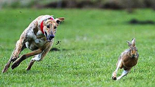 538986_564531636913861_1692761129_n