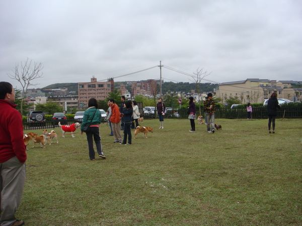 DSC05250.JPG DSC05250.JPG