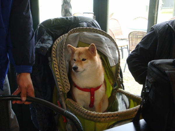 DSC05224.JPG DSC05224.JPG