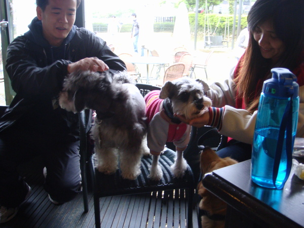 DSC05246.JPG DSC05246.JPG