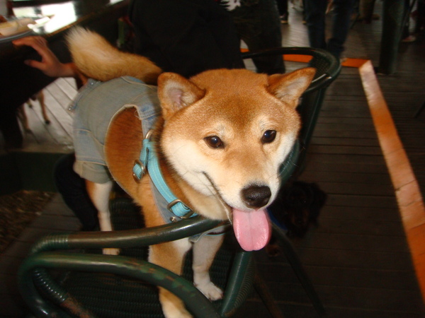 DSC05249.JPG DSC05249.JPG