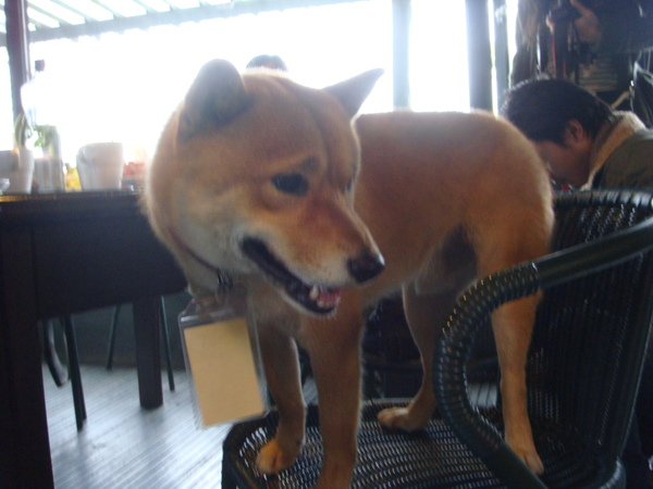 DSC05265.JPG DSC05265.JPG