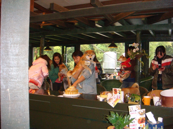 DSC05301.JPG DSC05301.JPG
