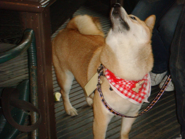 DSC05316.JPG DSC05316.JPG