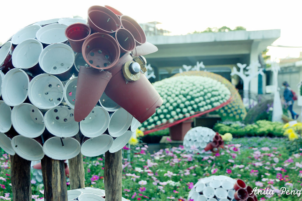 IMG_8014.jpg IMG_8014.jpg