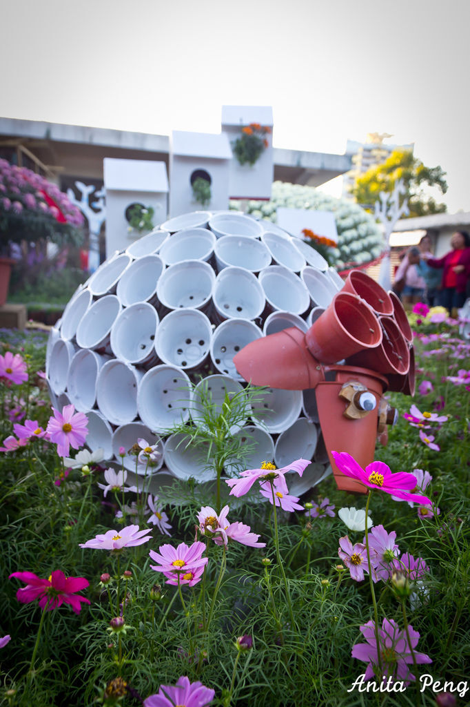 IMG_8015.jpg IMG_8015.jpg