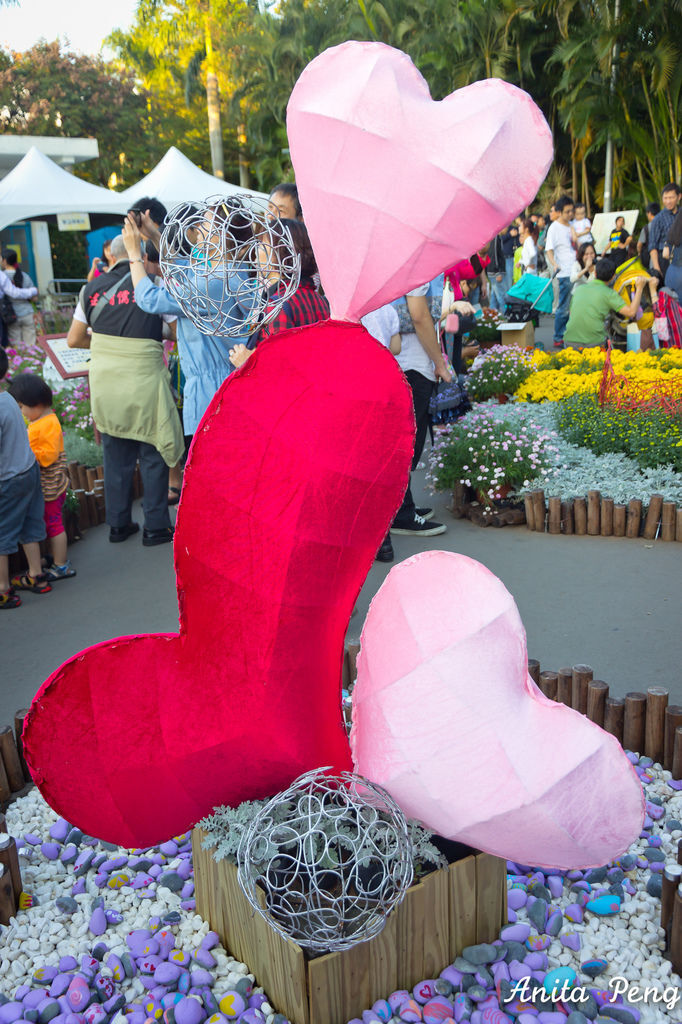 IMG_8019.jpg IMG_8019.jpg