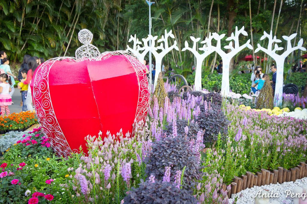 IMG_8022.jpg IMG_8022.jpg