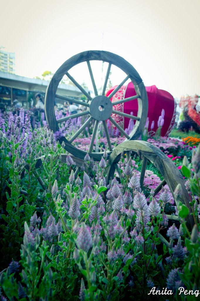 IMG_8026.jpg IMG_8026.jpg