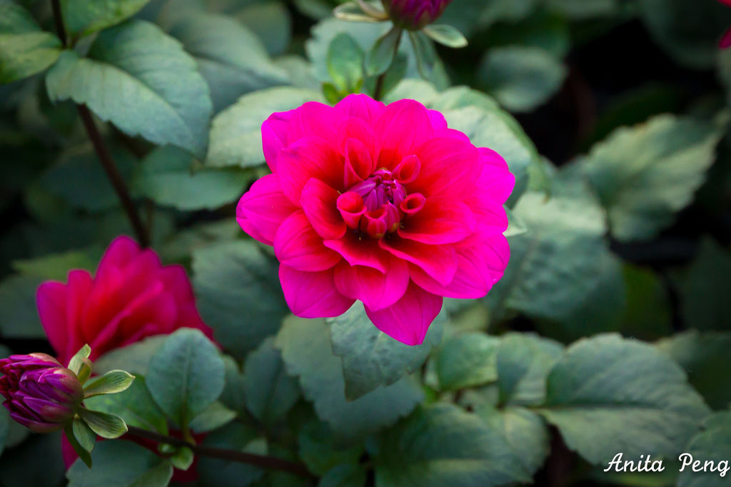 IMG_8027.jpg IMG_8027.jpg