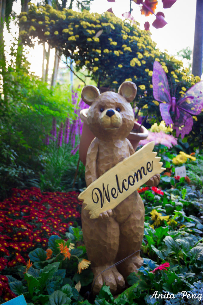 IMG_8030.jpg IMG_8030.jpg