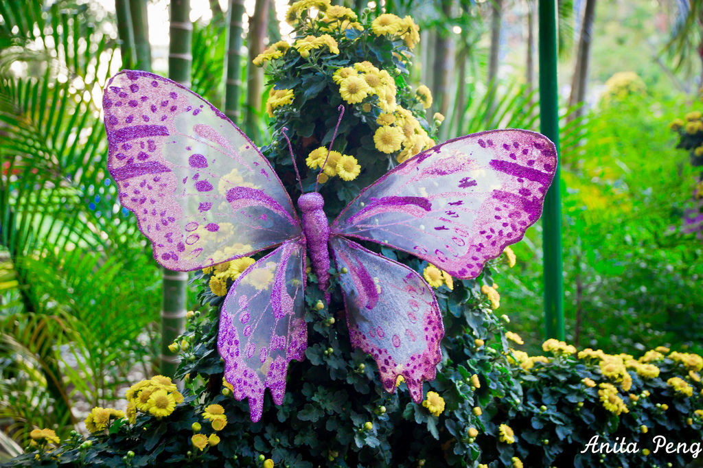 IMG_8031.jpg IMG_8031.jpg