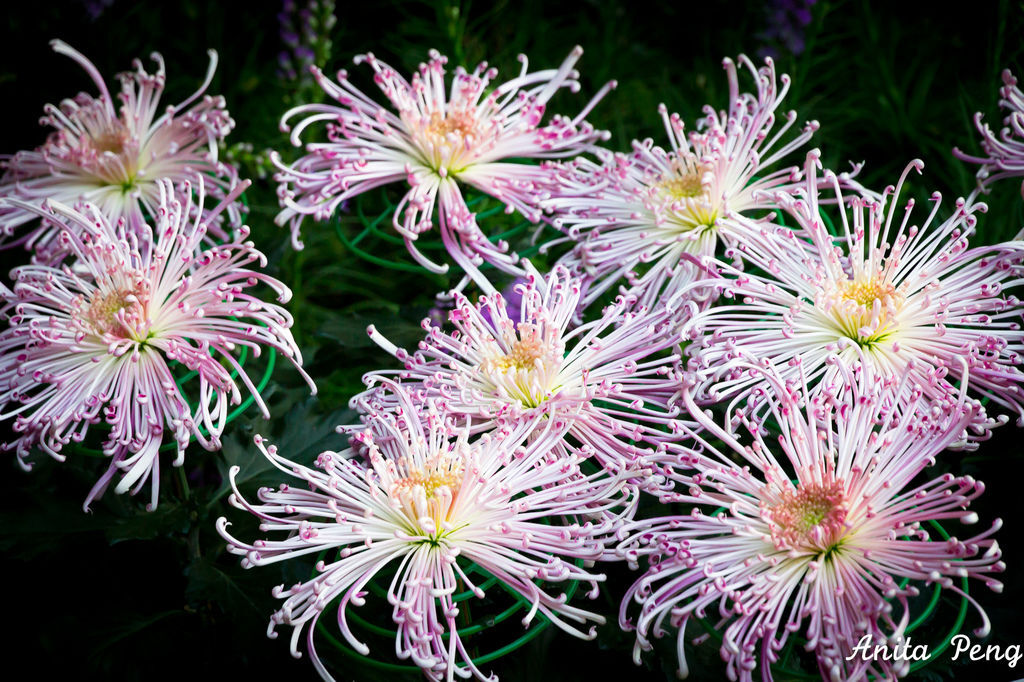 IMG_8032.jpg IMG_8032.jpg