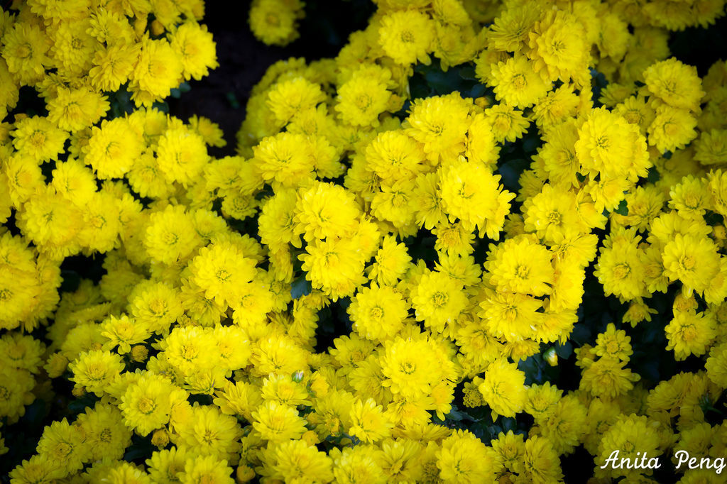 IMG_8034.jpg IMG_8034.jpg