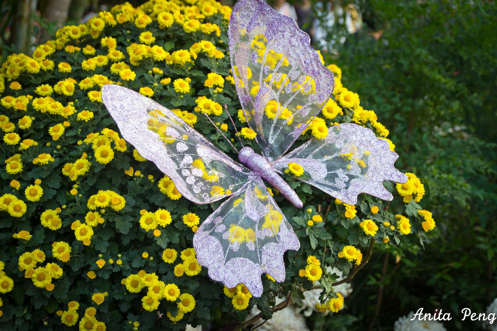 IMG_8040.jpg IMG_8040.jpg